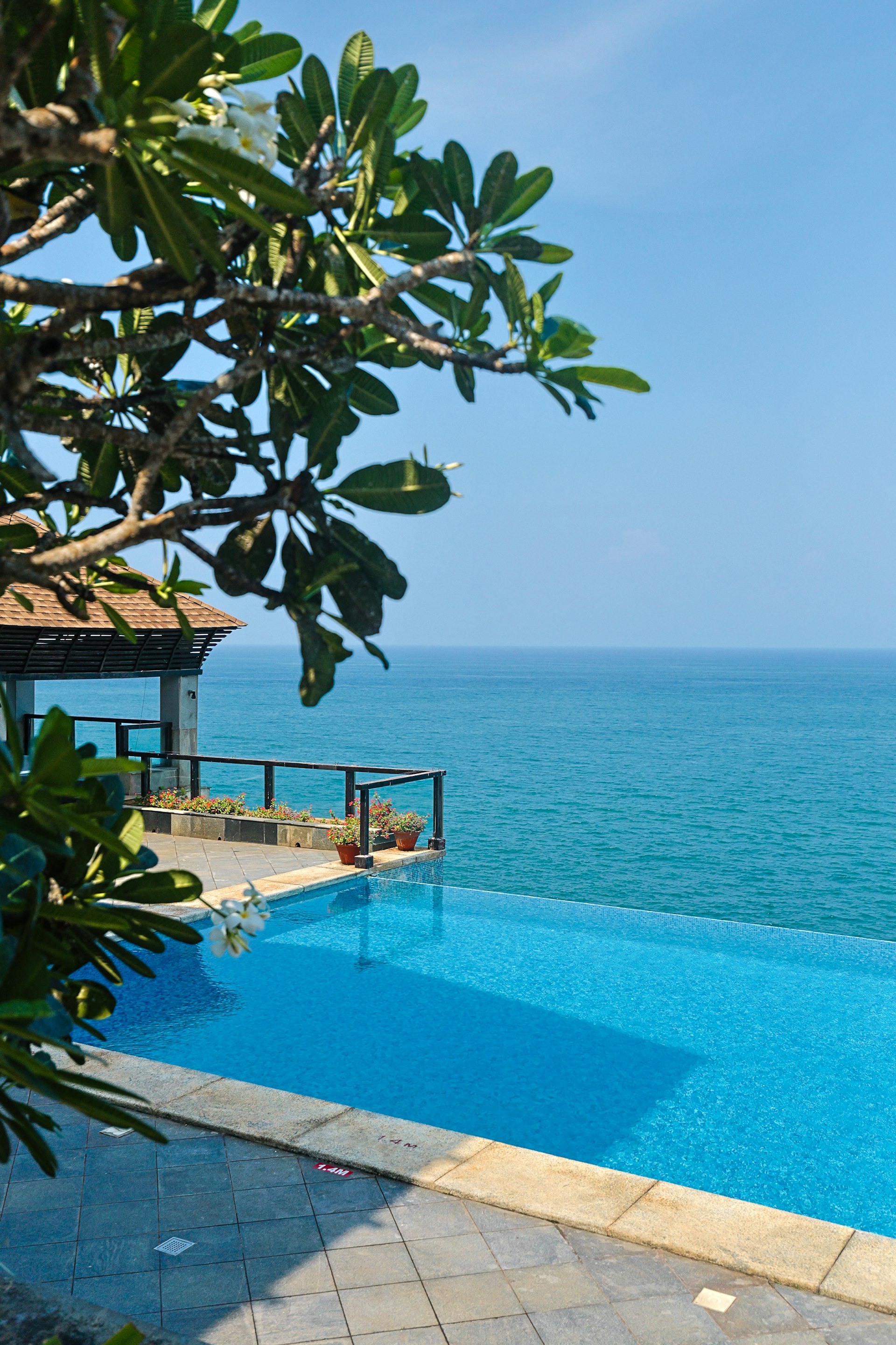 Luxury resort pool overlooking the Caribbean — best resorts in Anguilla