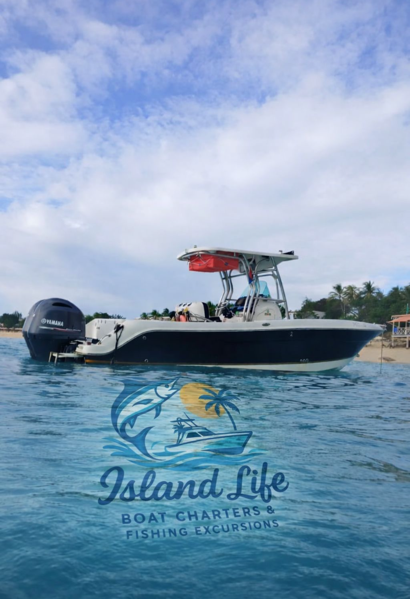 Sandy Island Anguilla from charter boat
