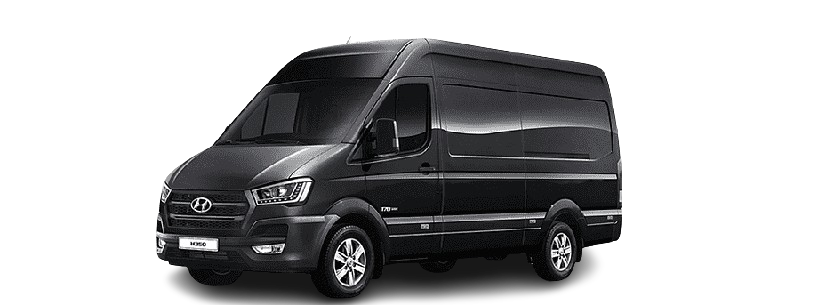 Mini Sprinter Van — Black
